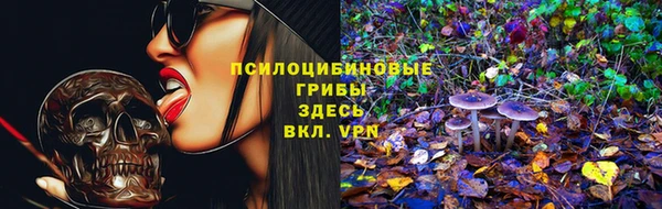 тгк Мегион