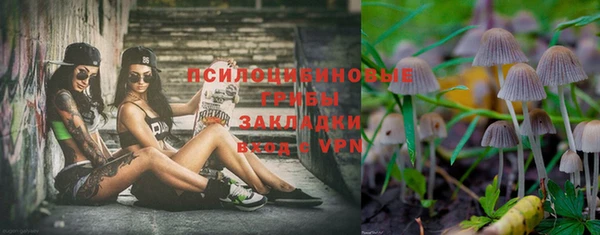 бошки Абдулино