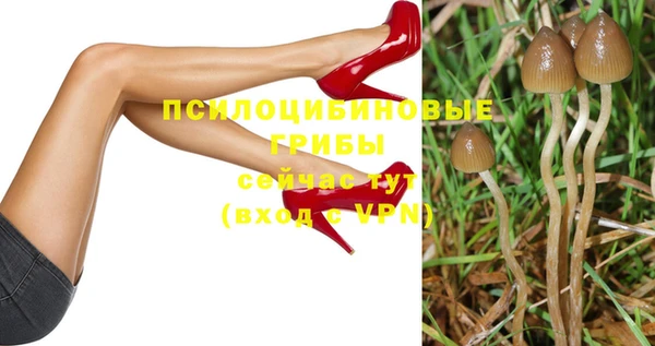 ECSTASY Медвежьегорск